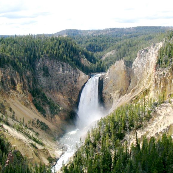 Meet your Posher, Michele - Picture 1 of 1